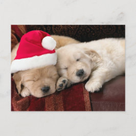子犬のクリスマス シーズンポストカード