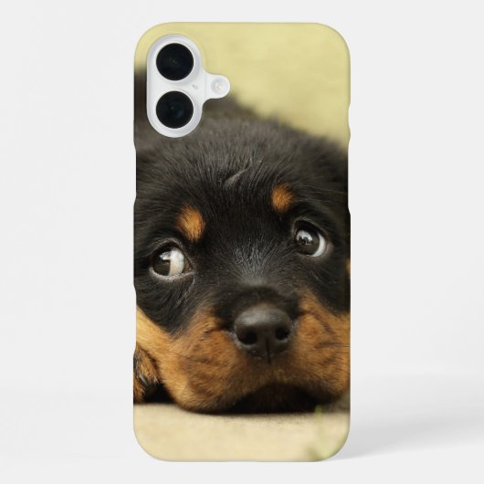 子犬のスマホケース iPhoneケース (裏面)