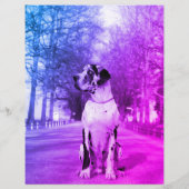 子犬のチラシ偉大なダンまたは犬 チラシ (裏面)