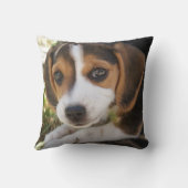 子犬のビーグル クッション (裏面)