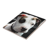 子犬のピット・ブルのT骨 タイル (側面)