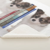 子犬のブックエンド シェルパブランケット (3/4)