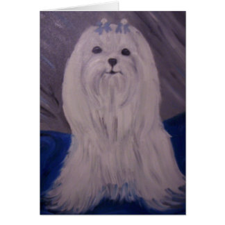 子犬のポートレート