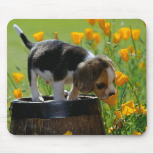 子犬のマウスパッド マウスパッド