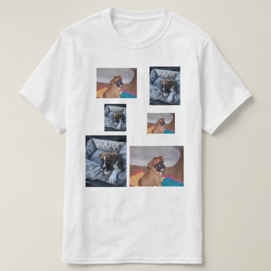 子犬のワイシャツ Tシャツ (デザイン正面)