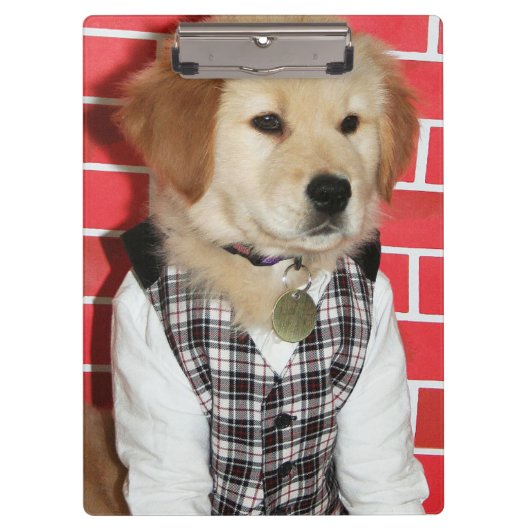 子犬の上で服を着るゴールデン・リトリーバー クリップボード (正面)
