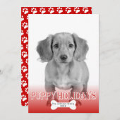 子犬の休日の骨のパターンペットのクリスマスフォト シーズンカード (正面/裏面)