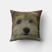 子犬の余りにかわいい装飾用クッション クッション (裏面)