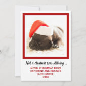 子犬の写真を撮ったペット シーズンカード (正面)