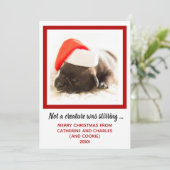 子犬の写真を撮ったペット シーズンカード (スタンド正面)