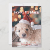 子犬の写真メリークリスマス シーズンカード (正面)