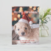 子犬の写真メリークリスマス シーズンカード (スタンド正面)