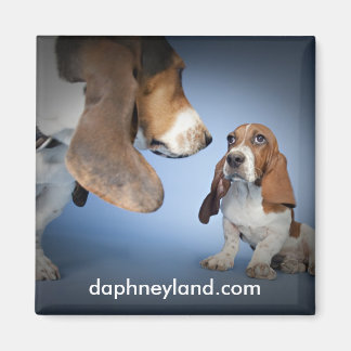 子犬の出会い磁石 マグネット