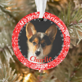 子犬の初めてのクリスマス写真 オーナメント