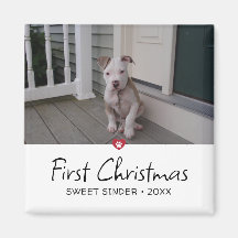 子犬の初めてのクリスマス写真