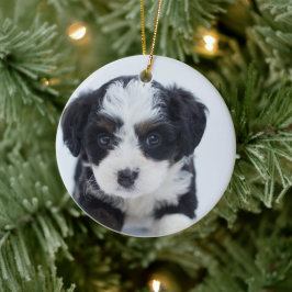 子犬の初めてのクリスマス セラミックオーナメント