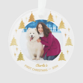 子犬の初めてのクリスマス ペットフォトホワイト＋ゴールド オーナメント