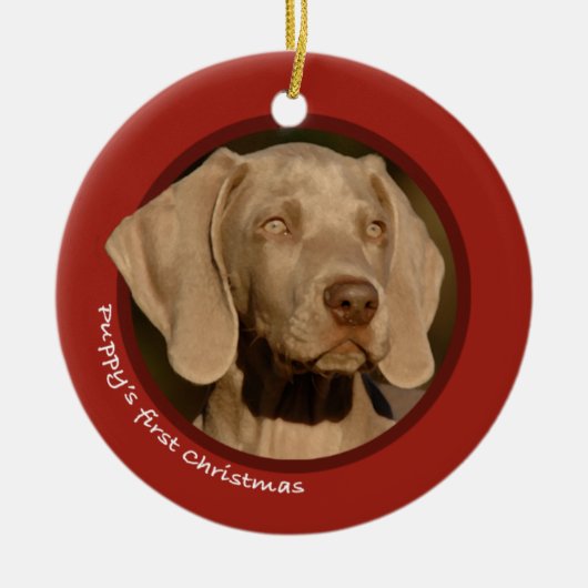 子犬の初めてのクリスマス(Weimaraner) セラミックオーナメント (正面)