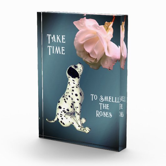 子犬の匂いを嗅ぐのに時間を要感動的する フォトブロック (右)