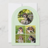 子犬の卒業ペット写真招待状 カード ミント (裏面)