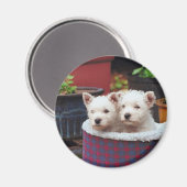 子犬の友人 マグネット (正面/裏面)