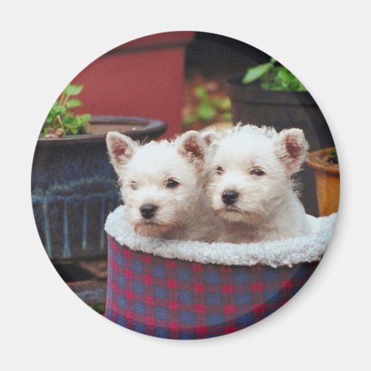 子犬の友人 マグネット (正面)