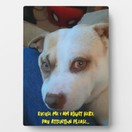 子犬の台座標識 フォトプラーク