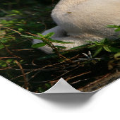 子犬の子座って子犬 ポスター (角)