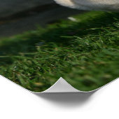 子犬の子犬 ポスター (角)