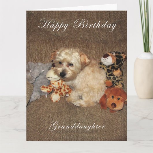 子犬の孫娘のバースデー・カード カード (正面)