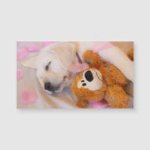 子犬の幼児02 (正面)