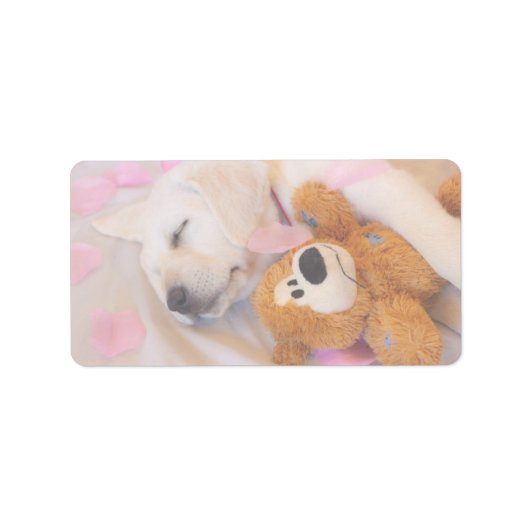 子犬の幼児02 ラベル (正面)