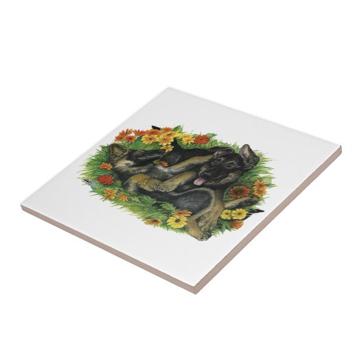 子犬の庭 タイル (側面)