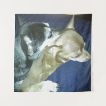 子犬の恋のタペストリー