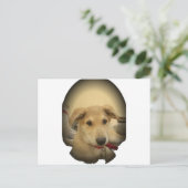 子犬の恋: 人間の親友 ポストカード (スタンド正面)