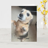 子犬の愛グリーティングカード カード (黄色い花)