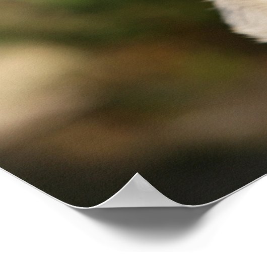 子犬の愛撫 ポスター (角)