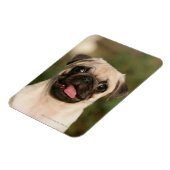 子犬の愛撫 マグネット (左側)