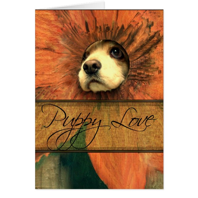 子犬の愛 (正面)