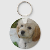 子犬の愛 – かわいいマルティポウドッグの写真 キーホルダー (正面)