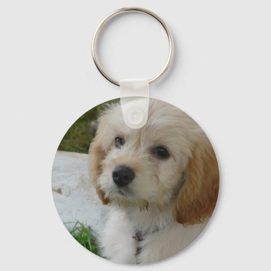 子犬の愛 – かわいいマルティポウドッグの写真 キーホルダー (正面)