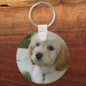 子犬の愛 – かわいいマルティポウドッグの写真 キーホルダー (正面)