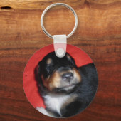 子犬の愛 キーホルダー (正面)