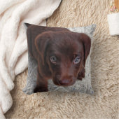 子犬の愛 クッション (ブランケット)