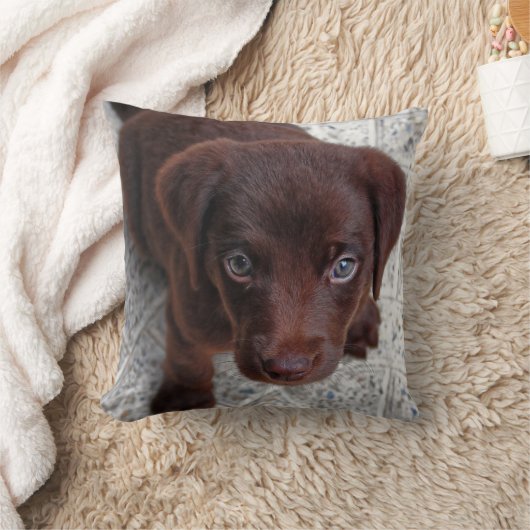 子犬の愛 クッション (ブランケット)