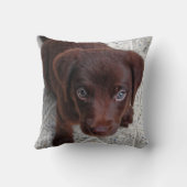 子犬の愛 クッション (裏面)