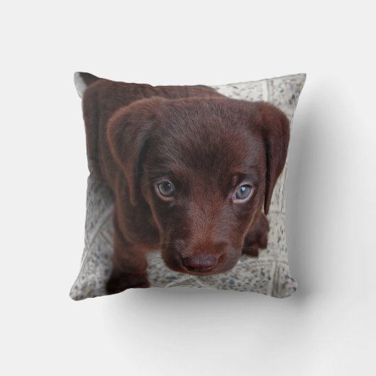 子犬の愛 クッション (裏面)