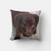 子犬の愛 クッション (正面)