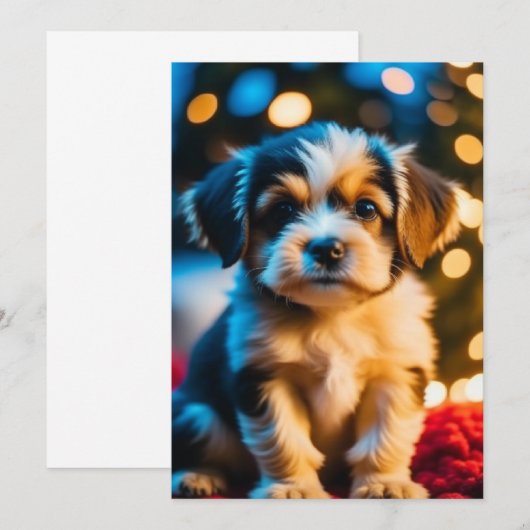 子犬の愛 サンキューカード (正面/裏面)