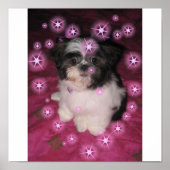 子犬の愛 – ポスター (正面)